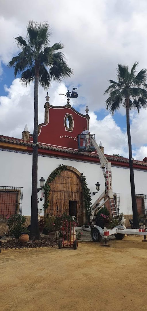 Pinturas Del Pino — Fotos 14