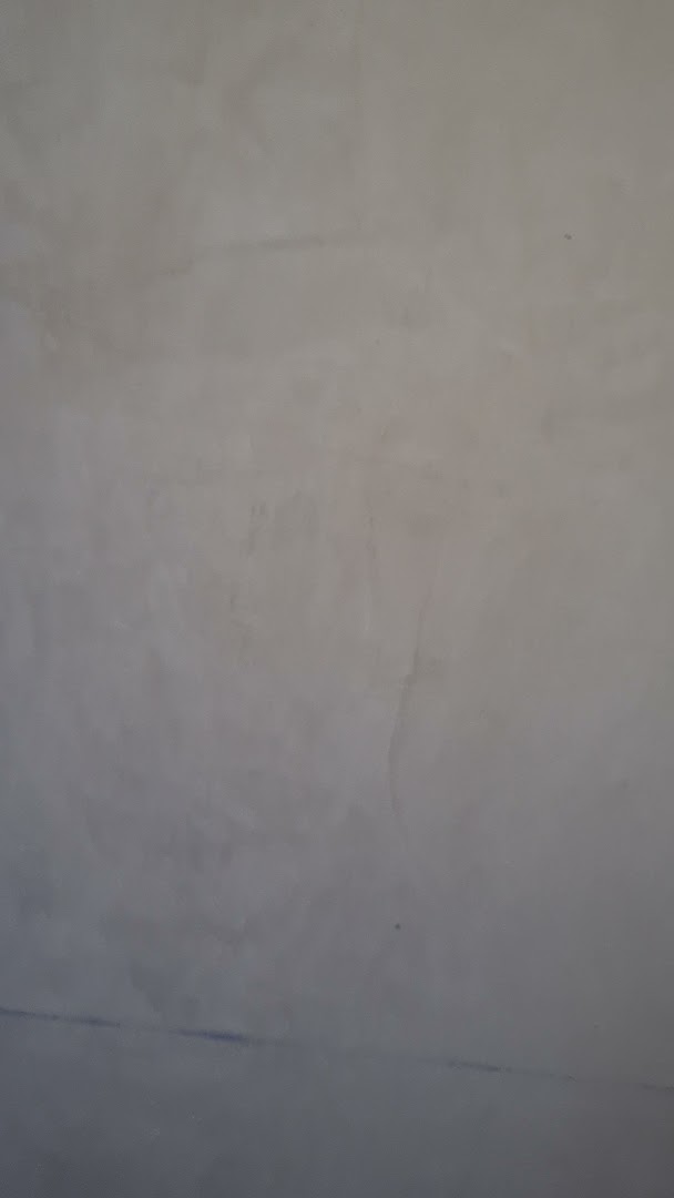Pinturas Del Pino — Fotos 13