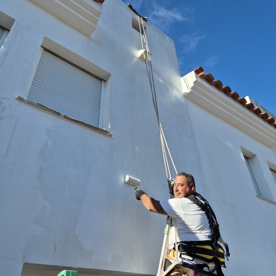 Pinturas Del Pino — Fotos 6