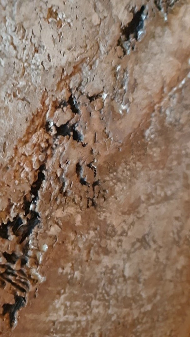 Pinturas Del Pino — Fotos 8