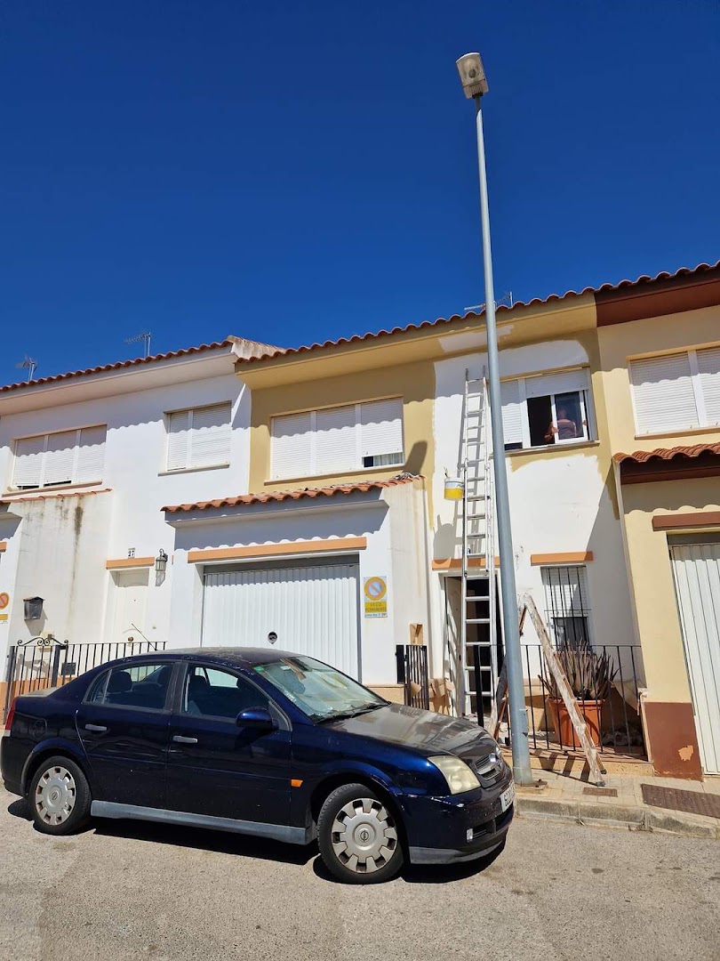 Pinturas Del Pino — Fotos 2