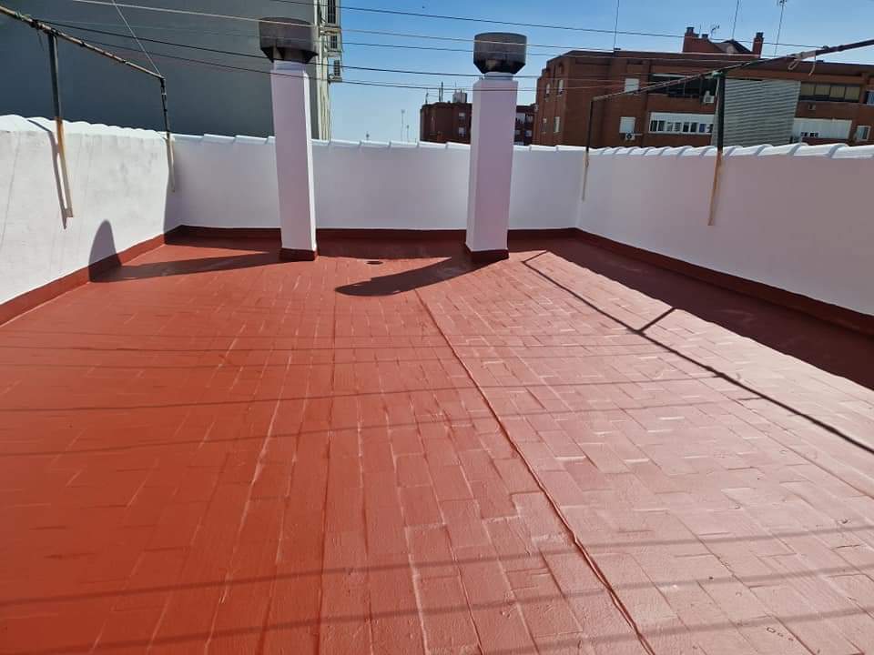 Pinturas Del Pino — Fotos 15
